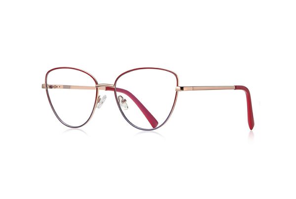stylish-and-durable-metal-frames-for-women